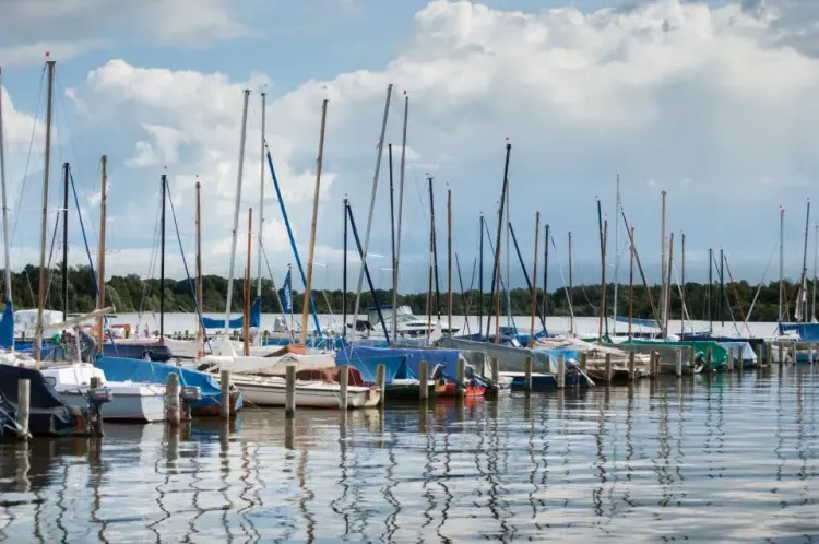 Yachten und Segboote liegen an Holzdegen in einem Hafen.